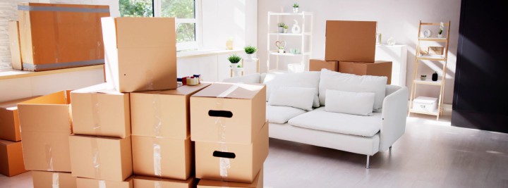 Choosing the Best Packers and Movers in Bengaluru